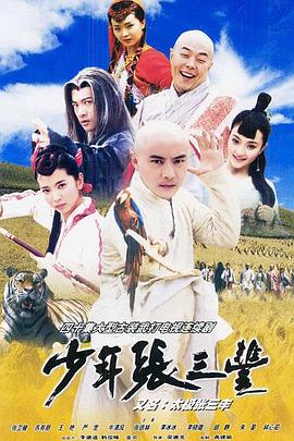 少年张三丰国语海报
